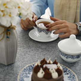 سرویس پذیرایی 14 پارچه بهار 540